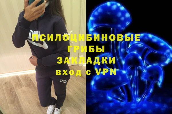 бутират Сатка