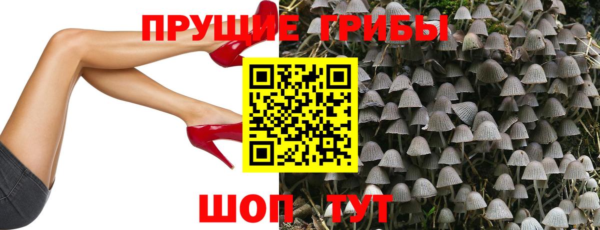 Псилоцибиновые грибы мухоморы Костомукша