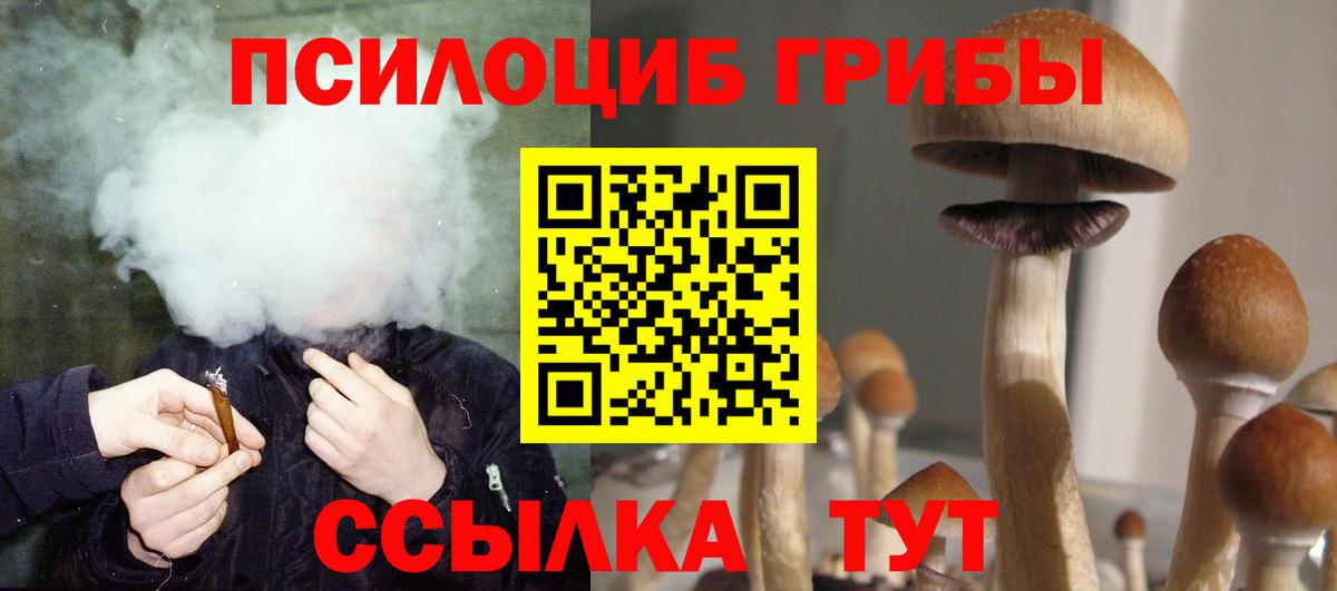 Костомукша  Галлюциногенные грибы Psilocybe  Вход с VPN 