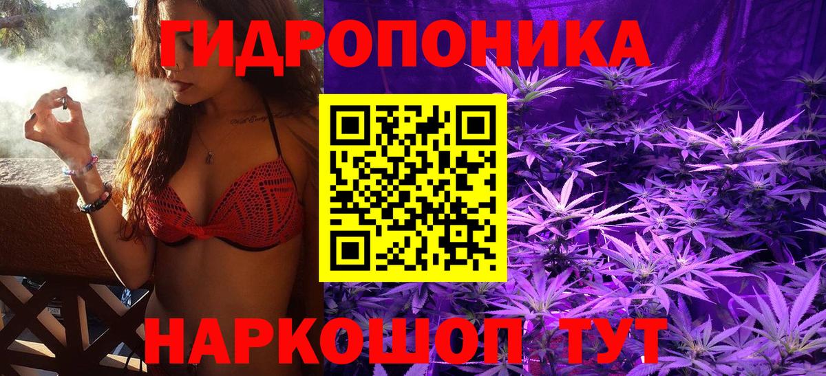 Конопля план  Вход с VPN  Костомукша  Канабис AK-47  Конопля индика 